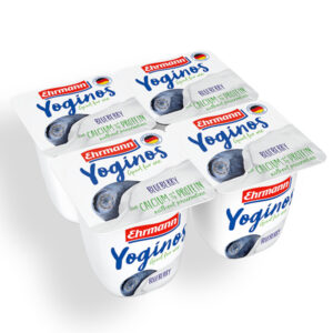 EHRMANN YOG.BLUEBERRY (24X100GR)