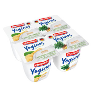 EHRMANN YOG. BANANA/PINEAPPLE (24x100gr)